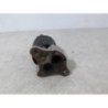 Vanne EGR OPEL CORSA C PHASE 1 d’occasion