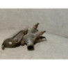 Boitier eau RENAULT LAGUNA 1 PHASE 1 d’occasion
