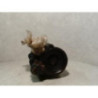 Pompe de direction RENAULT R19 PHASE 1 d’occasion