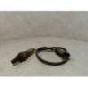 Sonde lambda RENAULT CLIO 2 PHASE 1 d’occasion