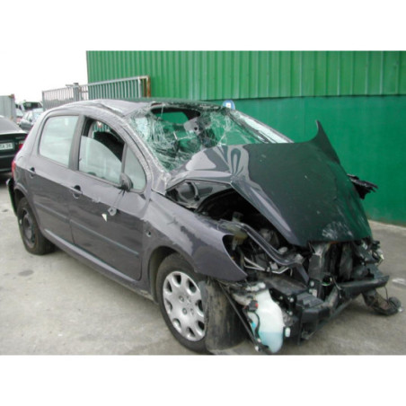 Poignee hayon PEUGEOT 307 PHASE 1 d’occasion