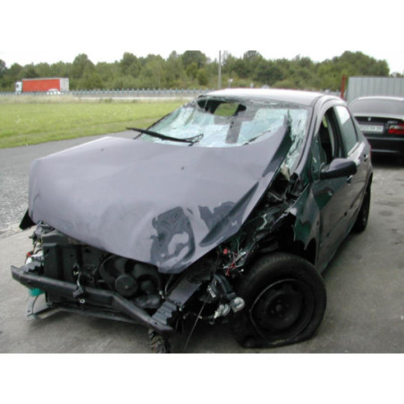 Poignee hayon PEUGEOT 307 PHASE 1 d’occasion