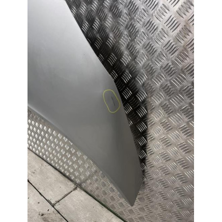 Capot RENAULT SCENIC 2 PHASE 1 d’occasion