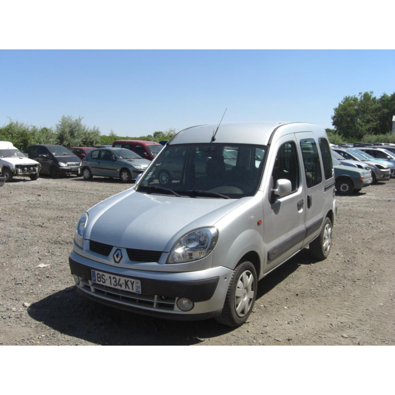 Porte de coffre gauche RENAULT KANGOO 1 PHASE 2 d’occasion