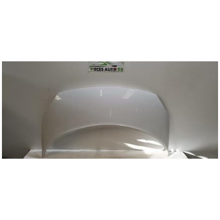 Capot RENAULT SCENIC 2 PHASE 1 d’occasion