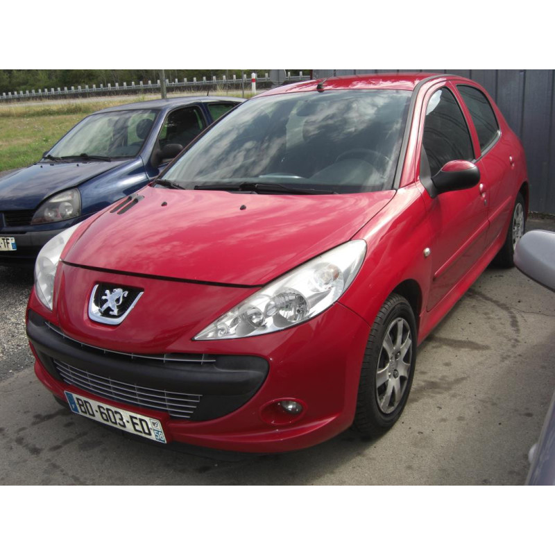 Capot PEUGEOT 206+ d’occasion