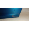 Porte avant droit PEUGEOT 207 PHASE 1 d’occasion
