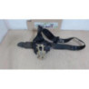 Ceinture avant droit PEUGEOT  d’occasion