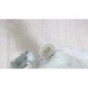Pompe de gavage FIAT  d’occasion