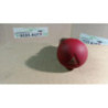 Bouton de warning RENAULT  d’occasion