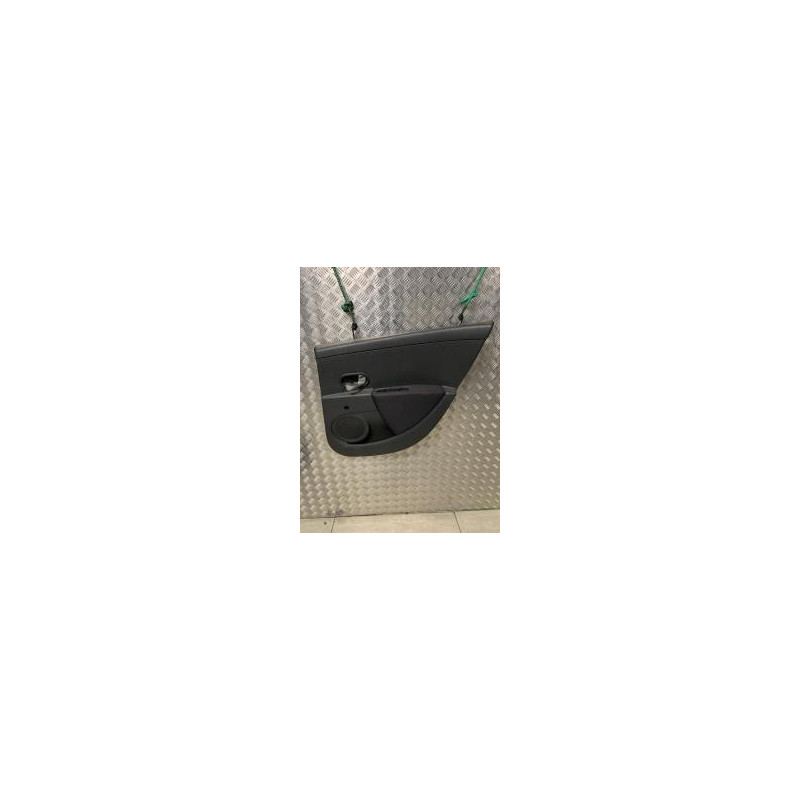 Panneau de porte arriere droit RENAULT CLIO 3 PHASE 1 d’occasion