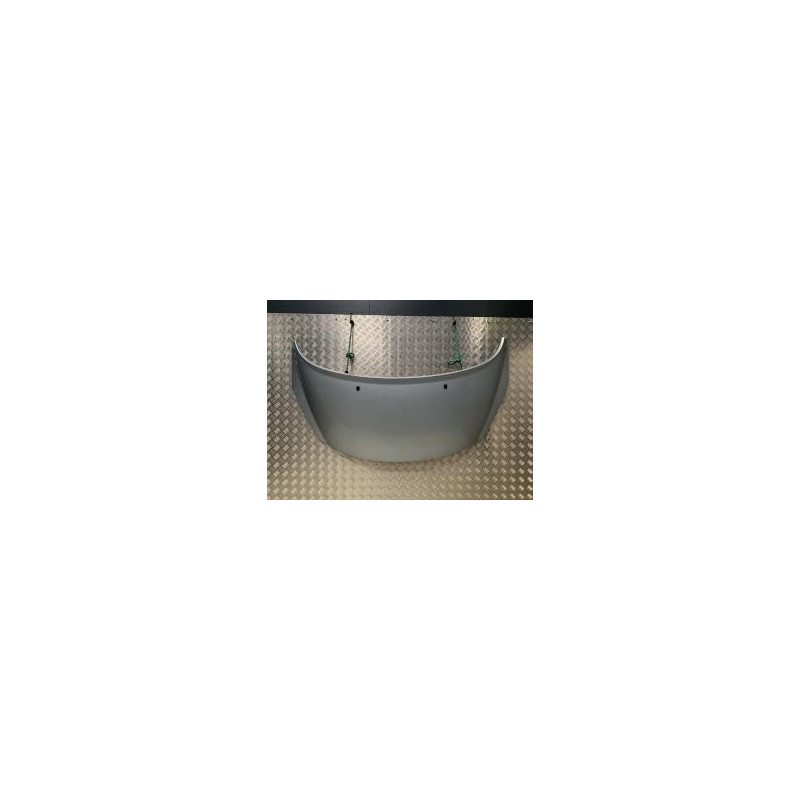Capot PEUGEOT 207 PHASE 2 d’occasion