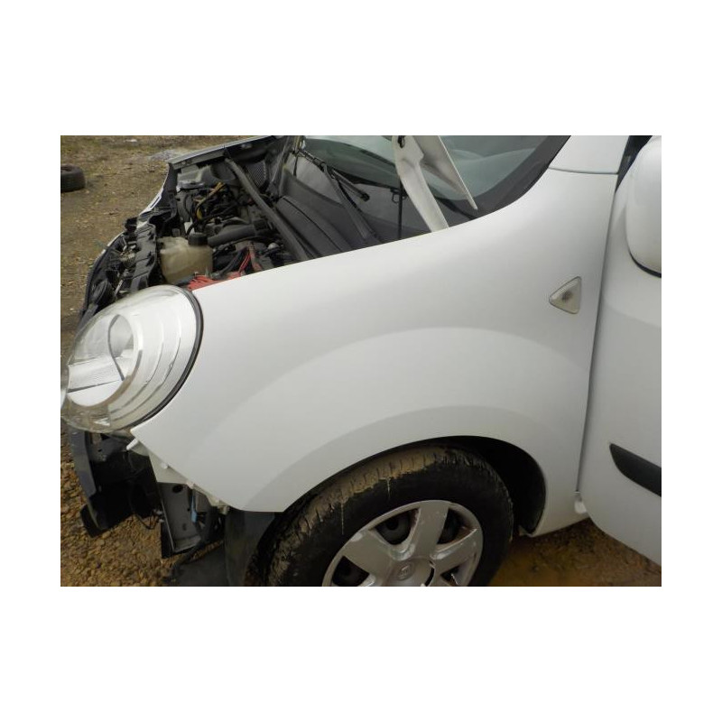 Feu factice arriere gauche RENAULT KANGOO 2 PHASE 1 d’occasion