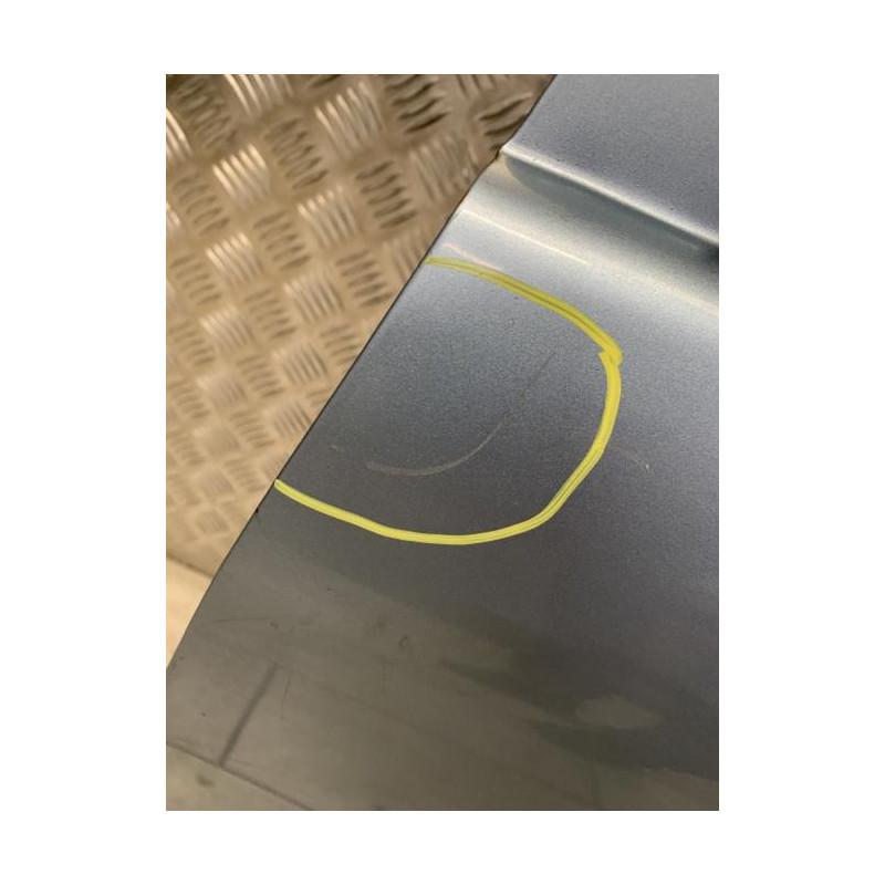 Porte arriere gauche RENAULT  d’occasion