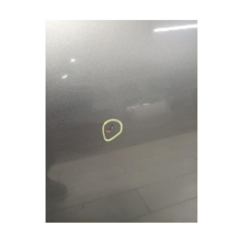 Porte avant gauche RENAULT  d’occasion