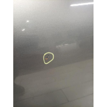 Porte avant gauche RENAULT  d’occasion