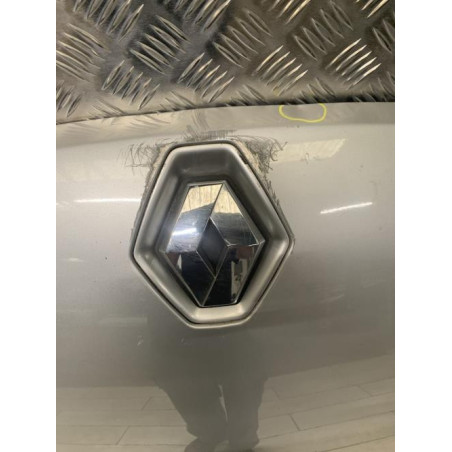 Capot RENAULT  d’occasion