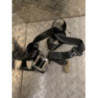 Ceinture arriere droit VOLKSWAGEN GOLF 5 d’occasion