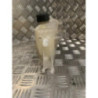 Vase d'expansion RENAULT CLIO 3 PHASE 1 BREAK d’occasion