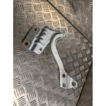Charniere de capot RENAULT MEGANE 4 PHASE 1 d’occasion