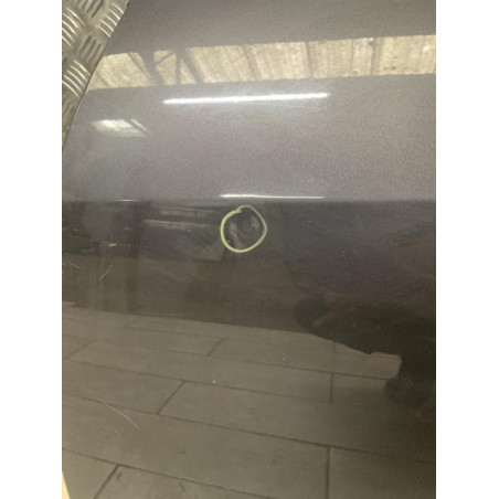 Porte arriere gauche OPEL INSIGNIA 1 PHASE 1 BREAK d’occasion