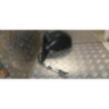 Retroviseur gauche SEAT IBIZA 3 PHASE 1 d’occasion