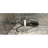 Com (Bloc Contacteur Tournant+Commodo Essuie Glace+Commodo Phare) HONDA  d’occasion