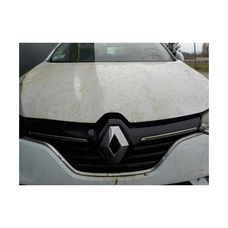 Joint de porte arriere droite RENAULT MEGANE 4 PHASE 1 d’occasion