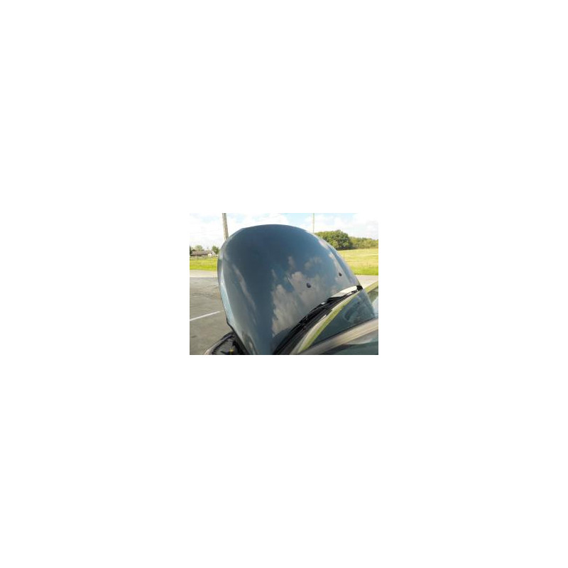 Capot CITROEN C3 PICASSO PHASE 1 d’occasion