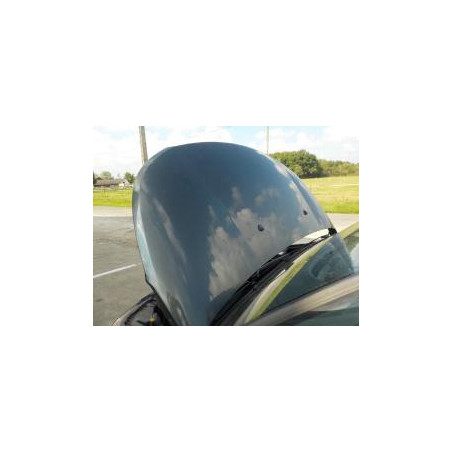 Capot CITROEN C3 PICASSO PHASE 1 d’occasion