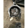 Boite de vitesses PEUGEOT 208 1 PHASE 2 d’occasion