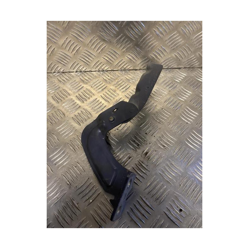 Charniere de capot RENAULT KANGOO 1 PHASE 1 d’occasion