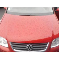 Capot VOLKSWAGEN TOURAN 1 PHASE 1 d’occasion