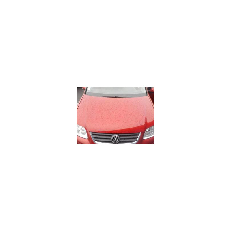 Capot VOLKSWAGEN TOURAN 1 PHASE 1 d’occasion