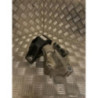 Support moteur DACIA LOGAN MCV 2 PHASE 1 BREAK d’occasion