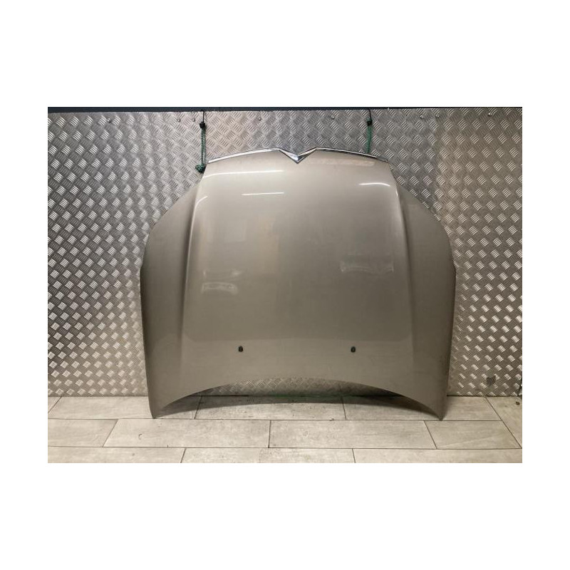 Capot CITROEN C5 2 BREAK d’occasion