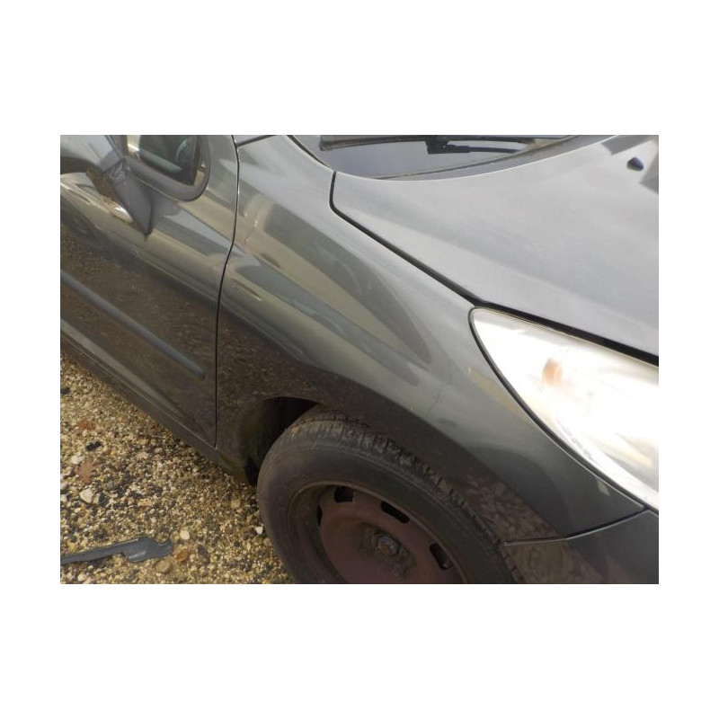 Capot PEUGEOT 207 PHASE 2 BREAK d’occasion