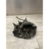 Boite de vitesses RENAULT CLIO 3 PHASE 1 d’occasion