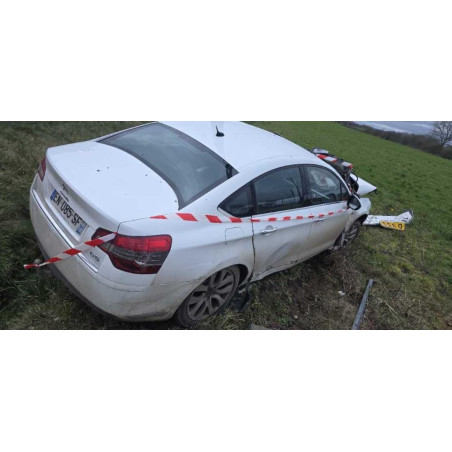 Platine feu arriere gauche CITROEN C5 2 d’occasion