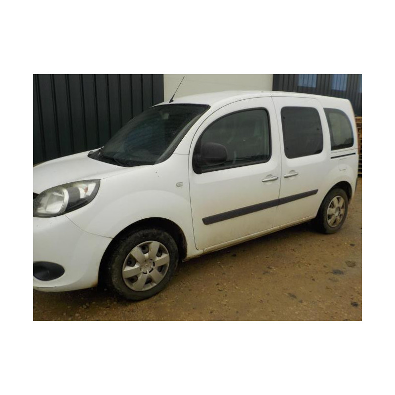 Garniture hayon RENAULT KANGOO 2 PHASE 2 d’occasion