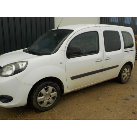 Garniture hayon RENAULT KANGOO 2 PHASE 2 d’occasion