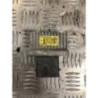 Boitier de prechauffage RENAULT CLIO 3 PHASE 2 d’occasion
