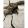 Cremaillere assistee CITROEN C3 1 PHASE 1 d’occasion