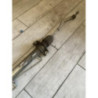Cremaillere assistee RENAULT MASTER 3 PHASE 2 d’occasion