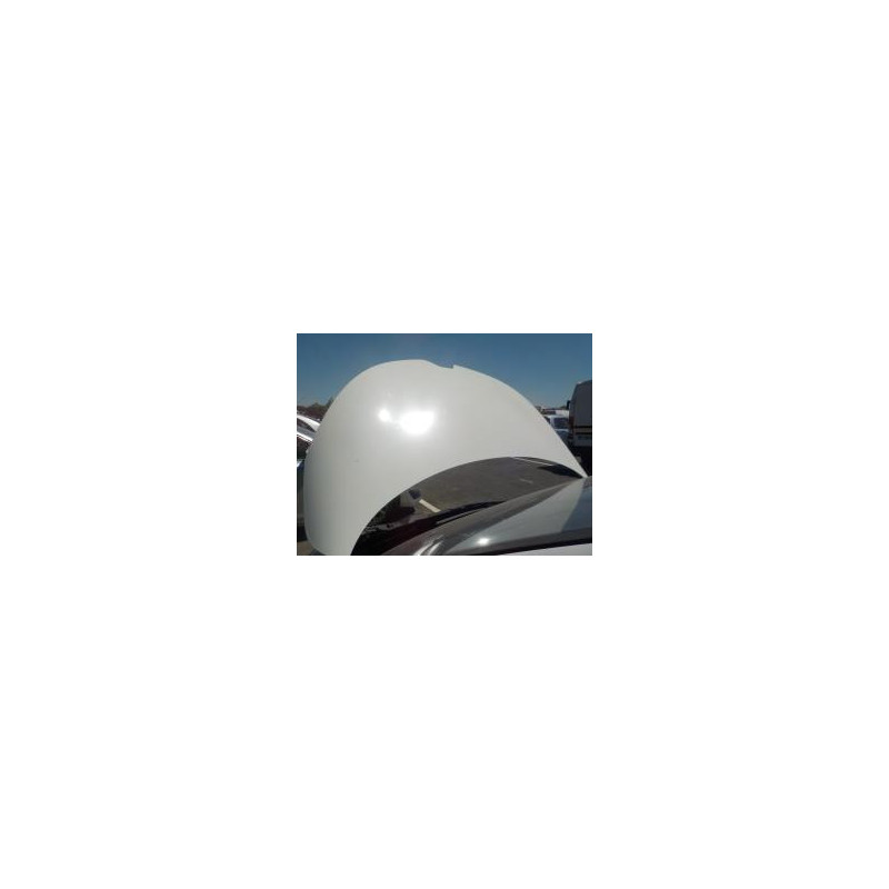 Capot RENAULT ZOE 1 d’occasion
