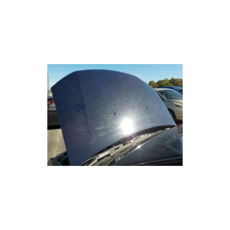 Capot DACIA LOGAN 2 PHASE 2 d’occasion