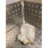 Vase de lave glace RENAULT MEGANE 2 PHASE 1 d’occasion