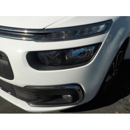 Porte arriere gauche CITROEN C4 SPACETOURER d’occasion