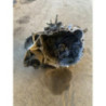 Boite de vitesses RENAULT CLIO 2 PHASE 2 d’occasion