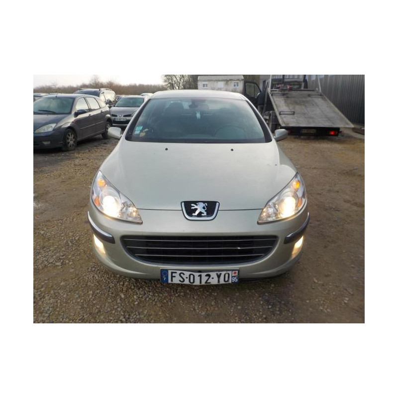 Custode avant gauche (porte) PEUGEOT 407 PHASE 1 d’occasion